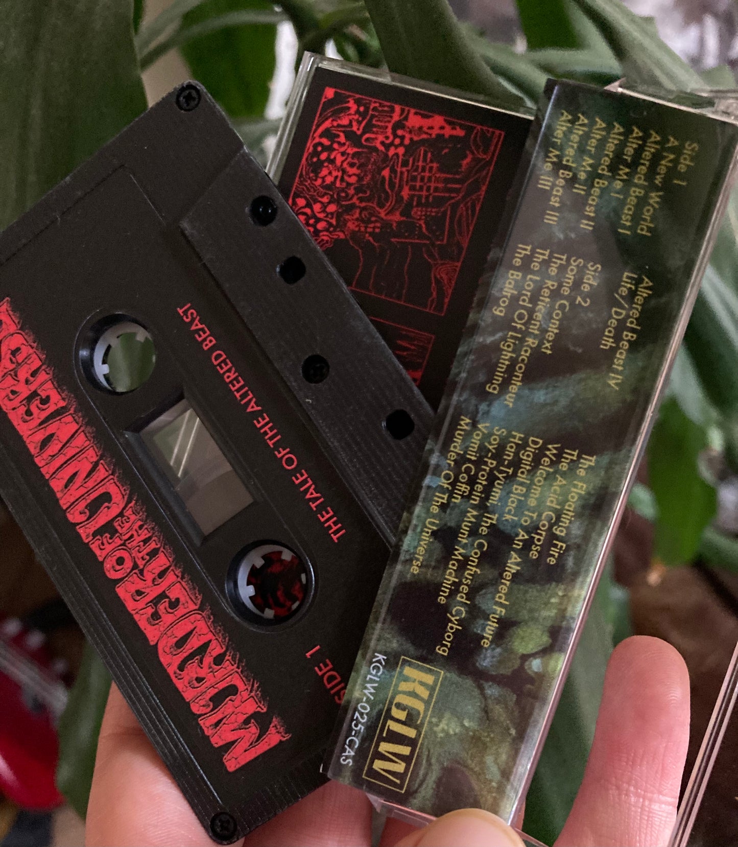 Murder Of The Universe